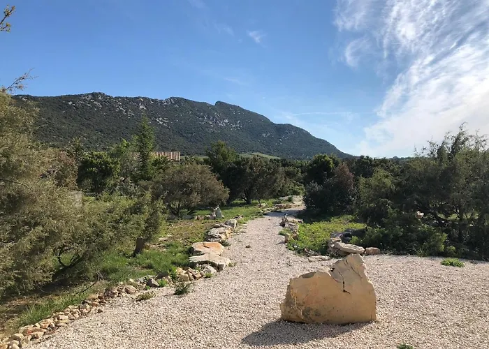D'exception 4étoiles La Du Pic St Loup Hébergement de vacances