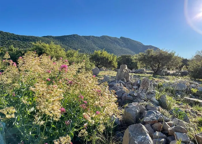Hébergement de vacances D'exception 4étoiles La Du Pic St Loup *